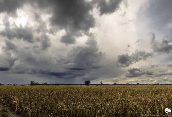 Szerdán is igazi őszi időnk lesz csapadékkal