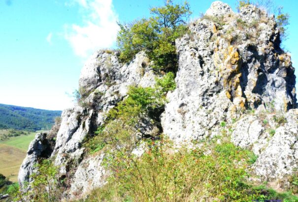 Kis település nagy lehetőségekkel – Sőregen járva