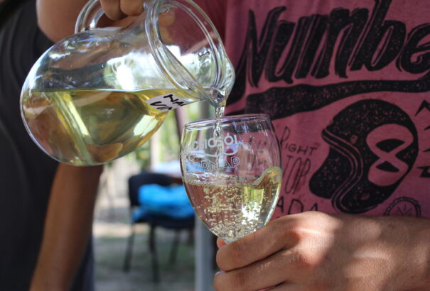 Fiatalos kezdeményezés nem csak fiataloknak – Csicsói Bornap negyedszer is