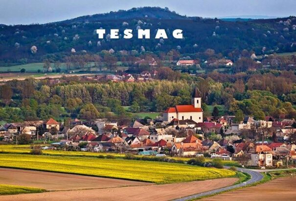 „Hogy ne az útszéli port rúgjuk unottan, tétlenül“ – Közösségépítés Tesmagon Pál Gyulával