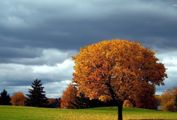 Változékony időre számíthatunk a hét első napján