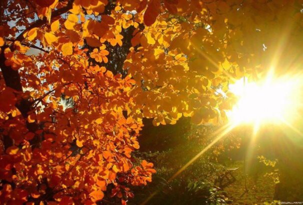 Napos, enyhe idővel folytatódik a vénasszonyok nyara