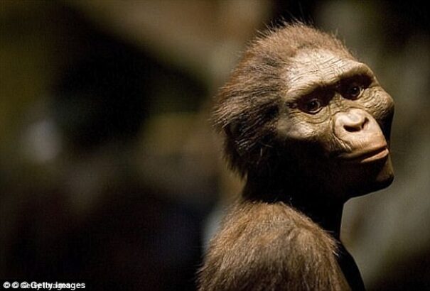 Rejtélyes fogakat találtak Németországban – átírhatják az emberiség eredettörténetét