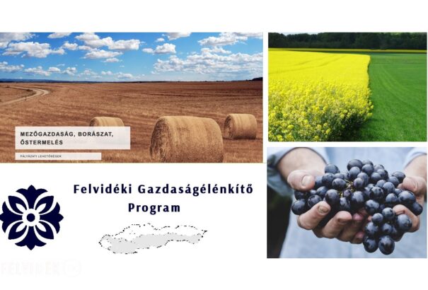 Meghosszabbították a Felvidéki Gazdaságfejlesztési Program pályázatainak beadási határidejét