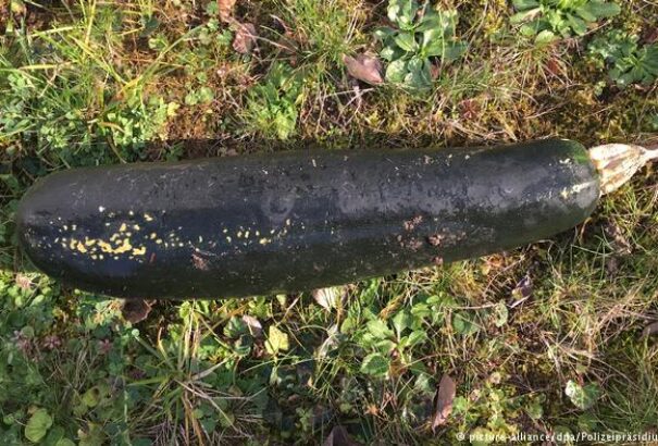 Egy második világháborús bombához riasztották a rendőröket – valami mást találtak helyette