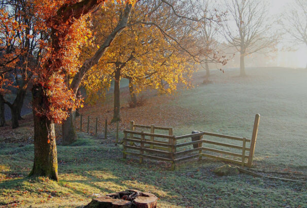 Napsütés és gyenge szél várható