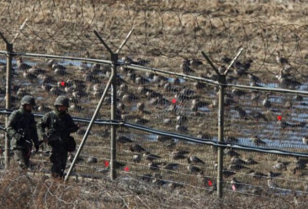 A senkiföldjén keresztül próbált átszökni Dél-Koreába, lelőtték