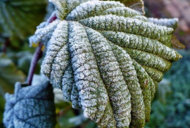 Nyugaton felhős, keleten napos időnk lesz