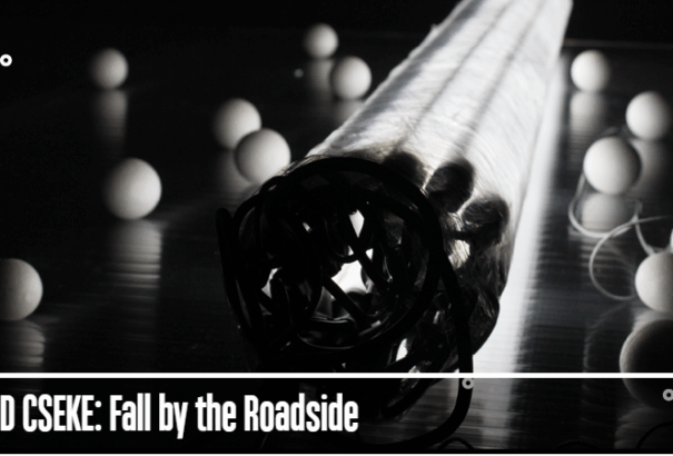 Cseke Szilárd képzőművész kiállítása a pozsonyi Kunsthalle-ban