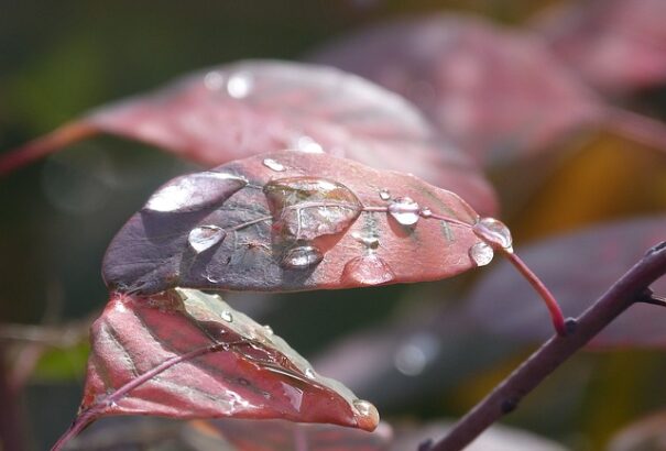 Marad a felhős idő, helyenként esővel