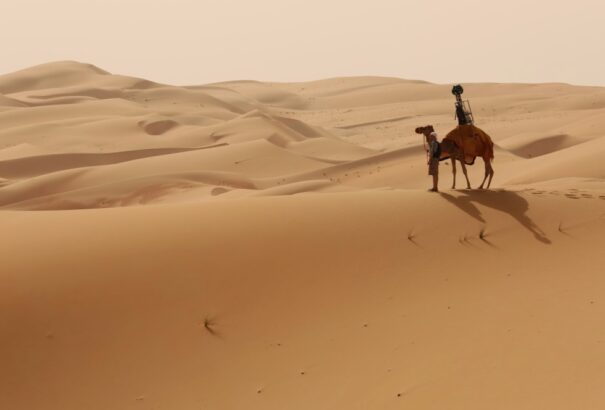 Peter Schutz: A pusztaság továbbra is folytatódni fog a Smernél