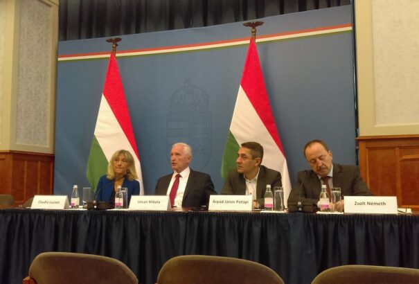 Mikola: a kisebbségek védelme gazdagítja Európát