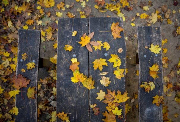 Kissé szeles, de napos időnk lesz pénteken