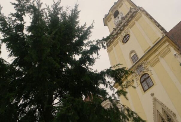 Már áll a városi karácsonyfa Pozsonyban