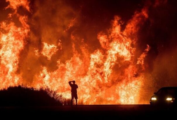 Kaliforniai tűzvész: Kimentette a nyuszit a lángokból, az internet hősévé vált (VIDEÓ)