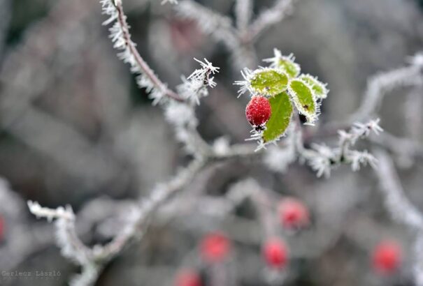 Túlnyomóan felhős időnk lesz, de délnyugaton többfelé kisüt majd a nap