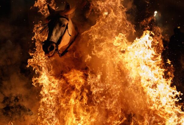 Tűzzel tisztították meg a lovakat Spanyolországban (képek)