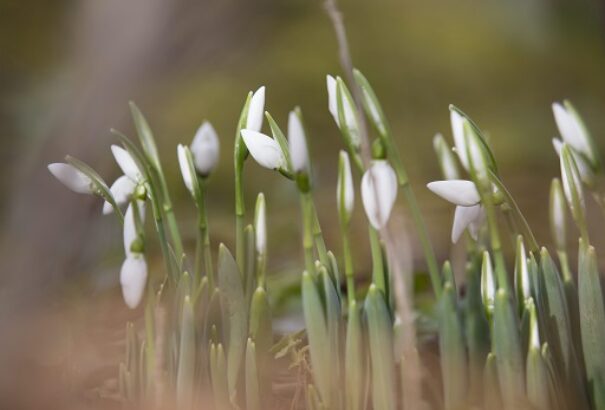 Változékony, de az átlagosnál enyhébb időnk lesz