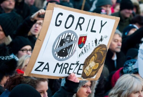 A bíróság Haščákról: A tulajdonában lévő sajtót a tanúk és bűntársak befolyásolására használhatja