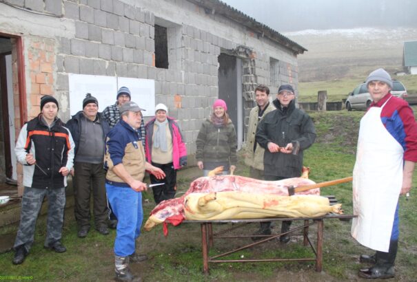 Medvesaljai hagyományos disznótor a Barkóság közepén – Képriport