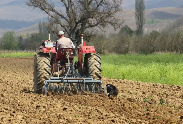 15-50 ezer eurós támogatást biztosít a Mezőgazdasági Kifizető Ügynökség a fiatal gazdáknak