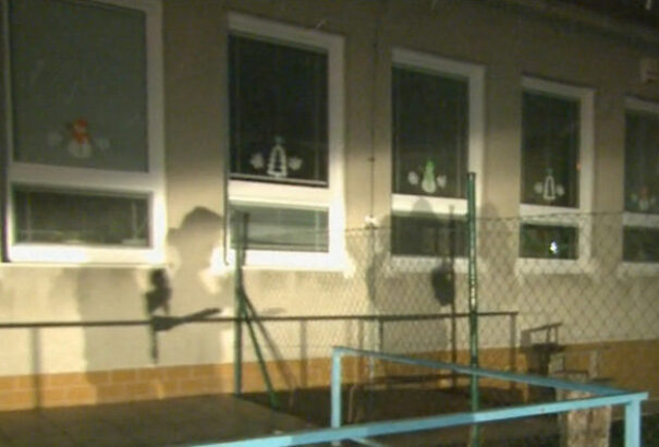 Egy óvodában ütötte fel a fejét a sertésinfluenza