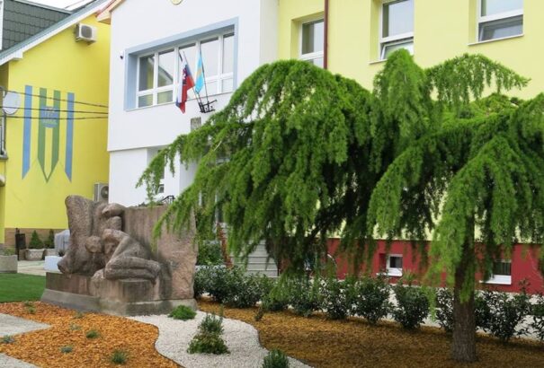 Önkormányzati társulást hoznak létre a magyar nyelv hivatalos használatáért a Csallóközben