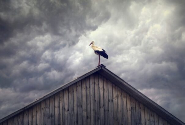 Borús, de meleg idő lesz pénteken