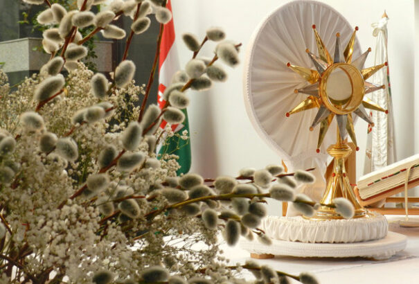 Virágvasárnapot ünnepel az Egyház