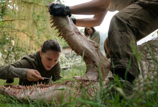 Ezt kár volt kisképernyőre száműzni – Expedíció-kritika