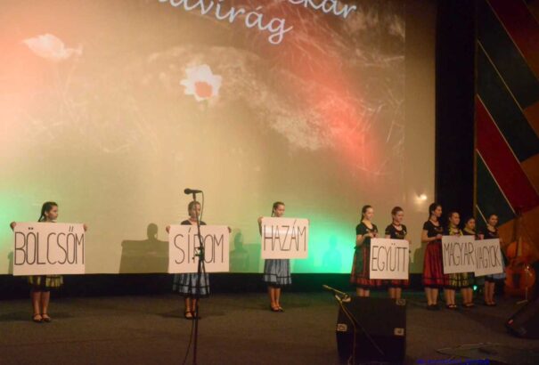 1848 emlékezete Losoncon