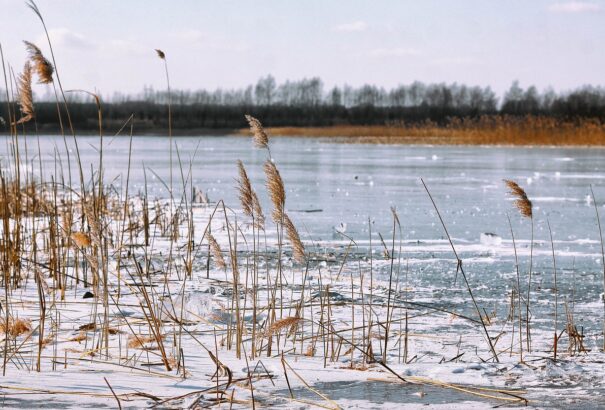 Havat hoz az enyhülés