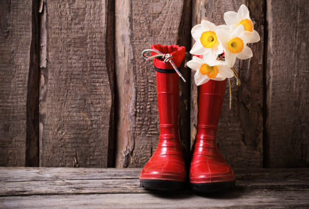 Enyhe, de esős idő lesz csütörtökön