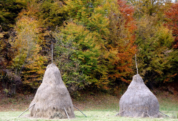 Ma sem veszik észre, hogy idejük lejárt