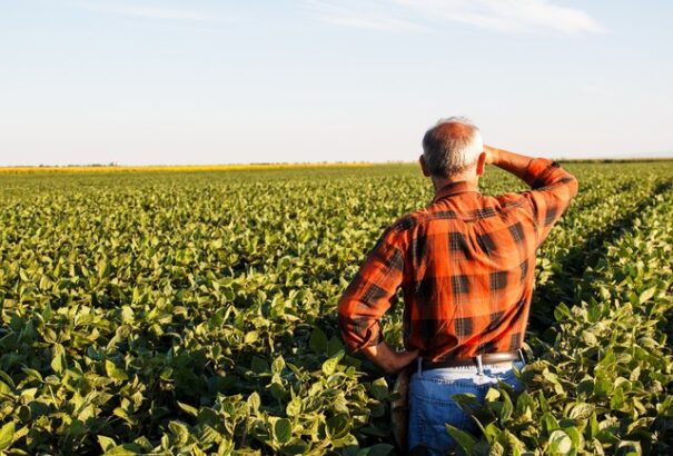 Kalita Gábor: Jól élnek ma a degeszre gazdagodott föld kufárok