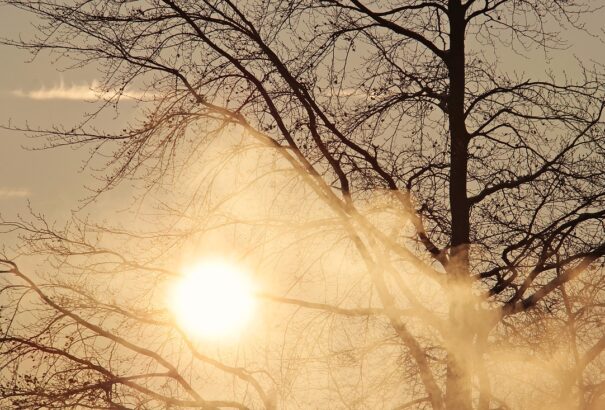 Megkezdődik az enyhülés – éjszaka még lesznek durva fagyok