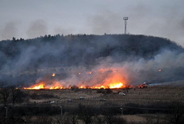 Három hektáron lángol az erdő Szikla községnél