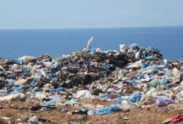 Műanyagevő enzimet találtak