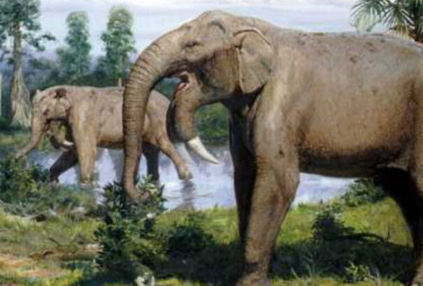 A mamut ősének csontjaira bukkantak Macedóniában