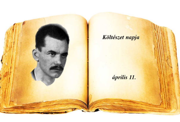 A versművészetet ünnepeljük – Felvidéki ankét