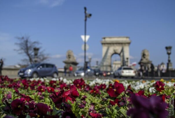 Metallica, filmfesztivál, Je T’aime – Budapesti programajánló