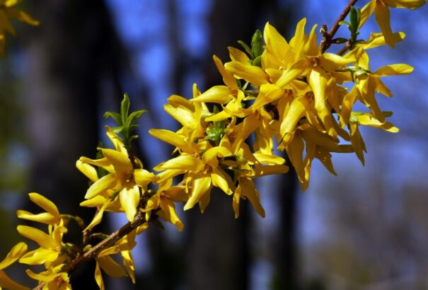 Sok-sok napsütésben lesz részünk a hét utolsó napján