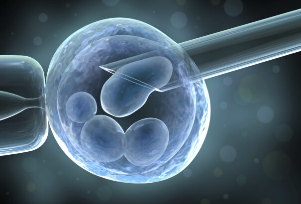 Embrió ivarsejtek nélkül?! – Új horizontok a női meddőség kutatásában