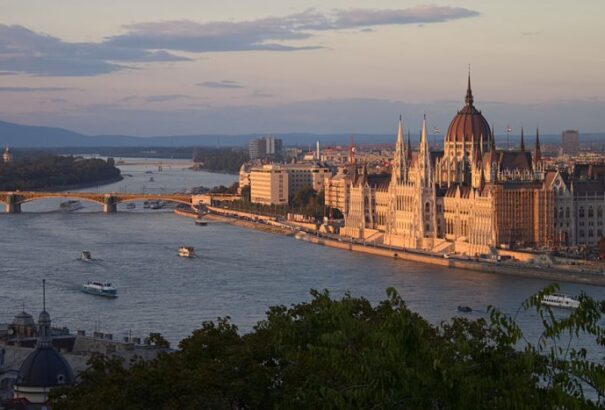 Buli a Müpa garázsában, gyereknap és Lenny Kravitz – Budapesti programajánló