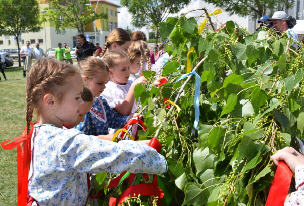 Májfaállítás a Csallóközben – Képriport