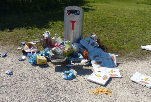 Rengeteg élelmet dobunk ki a kukába