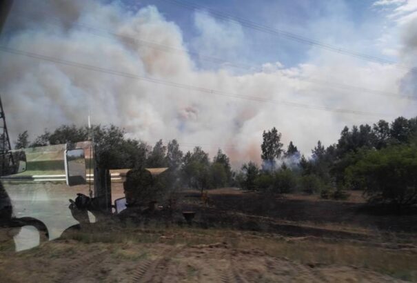Csak ma sikerült teljesen megfékezni az erdőtüzet Csernobilnál – Kijev felé szállt a sugárfertőzött füst