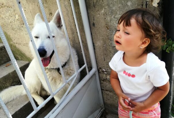 Egy „karrierista“ anya vallomásai