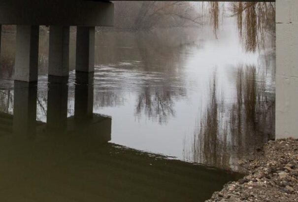 Bűz van és pusztulnak a halak a Kis-Dunában – szennyezés lehet a háttérben