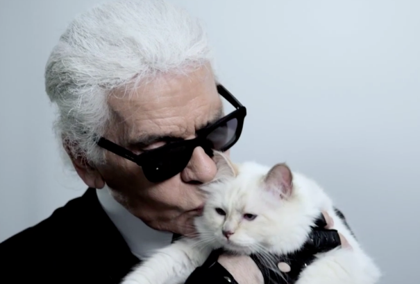 Megmutatjuk a világ leggazdagabb állatait. Nem vicc, valóban dollármillióik vannak